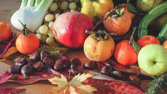 Loi Climat : des mesures pour le secteur de l’agroalimentaire