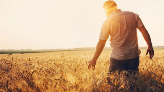 Loi Climat : les mesures pour les agriculteurs et les pêcheurs