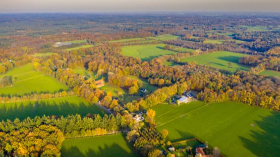 Taxe foncière sur les propriétés non bâties : un calcul à vérifier