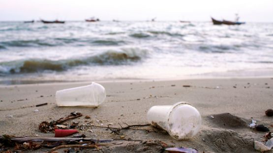 Exploitants de navires : que faire de vos déchets ?