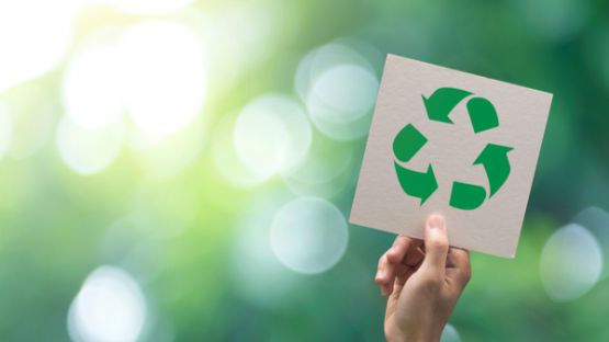 Economie circulaire : que faire de vos déchets « valorisables » ?