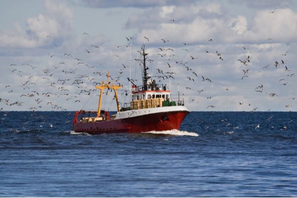 Quotas de pêche : (dé)favorable aux petits pêcheurs ?