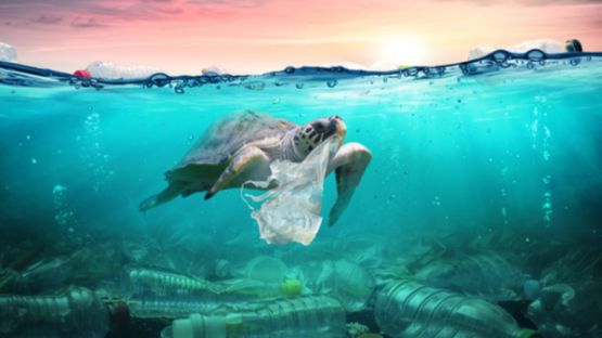 Produits à usage unique : un nouveau marquage obligatoire !