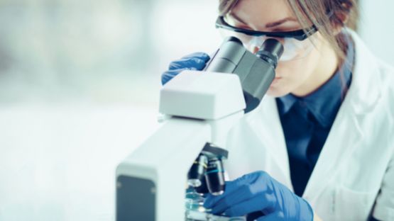 Des précisions attendues sur l’embauche de doctorants en CDD