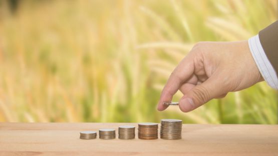 Aides agricoles : les montants 2021 sont connus