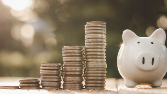 Epargne des ménages : une source de financement des entreprises… garantie par l’Etat ?