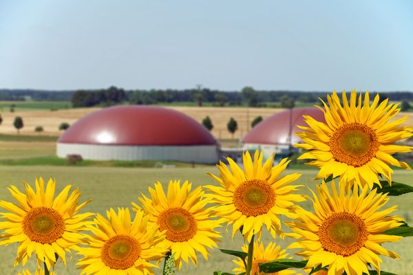 Pas d’impôt foncier pour les activités de méthanisation ?