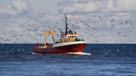 Licence de pêche : des conditions d’obtention assouplies ?