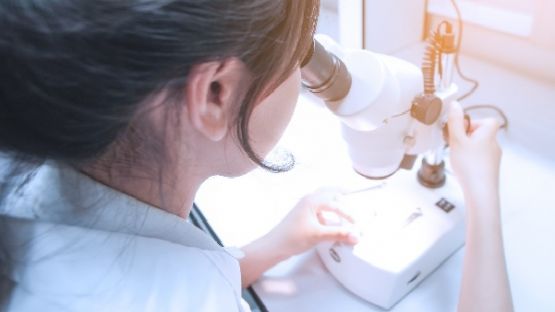 Laboratoires : une obligation de déclaration