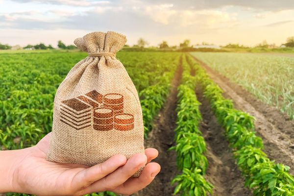 Loi Egalim 2 : mieux protéger la rémunération de l’agriculteur