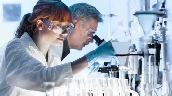 Projets scientifiques : où effectuer des recherches de financement sur le Web ?