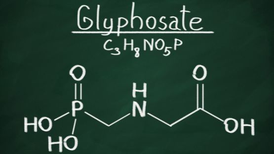 Crédit d’impôt « sortie du glyphosate » : c’est parti !