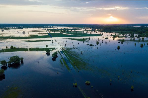 Agriculture et inondations : une (nouvelle) aide financière est débloquée !