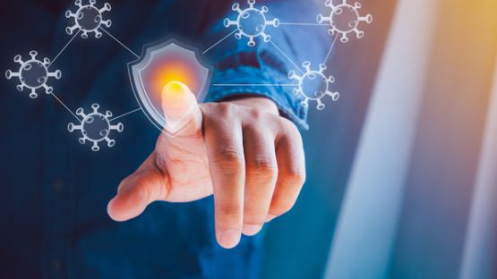 Coronavirus (COVID-19) : prolongation de l’utilisation des outils numériques