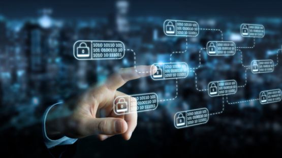 Délégué à la protection des données : un guide vous explique tout !