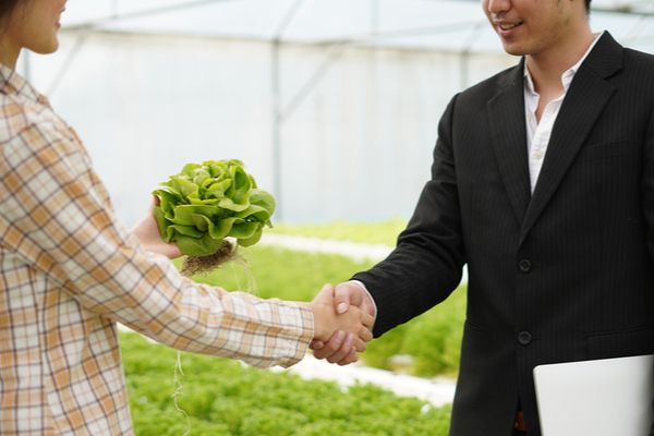 Agriculteur et distributeur : il faut négocier !