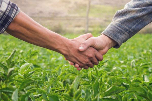 Mal-être des agriculteurs : un nouveau plan de soutien