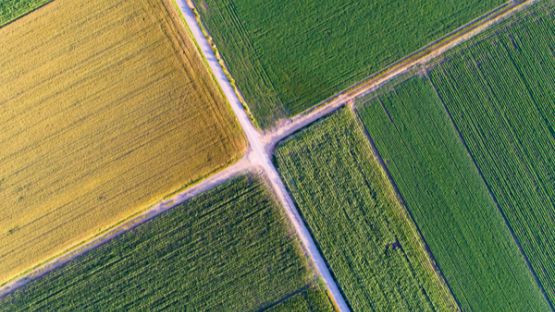 Droit de préemption de la SAFER : sur approbation ?