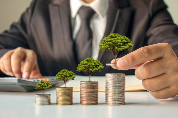 Transition écologique des entreprises : où trouver des financements ?