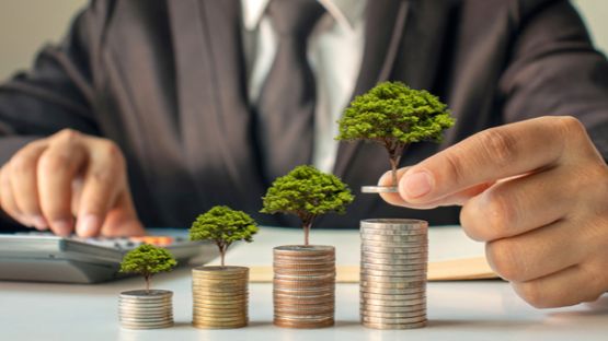 Transition écologique des entreprises : où trouver des financements ?