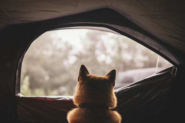 Camping à la ferme : attention aux règles d’urbanisme !