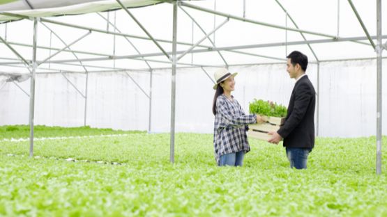 Relations agriculteurs/distributeurs : à simplifier !