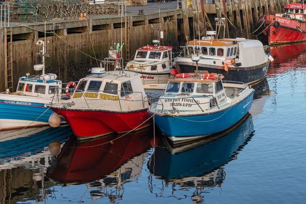 Pêcheur à quai = pêcheur aidé ?