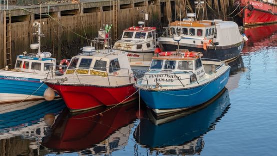 Pêcheur à quai = pêcheur aidé ?