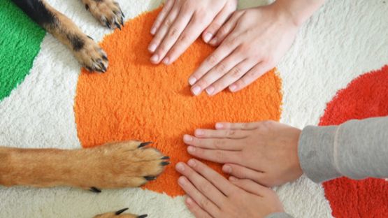 2022 : quelles nouveautés pour le secteur associatif ?