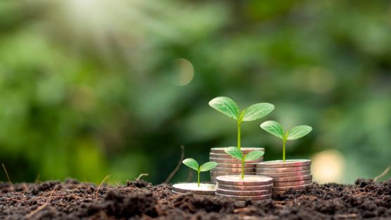 2022 : focus sur les nouveautés pour le secteur agricole