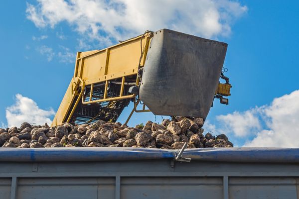 Transport de betteraves sucrières : une circulation encadrée