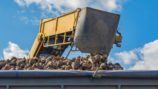 Transport de betteraves sucrières : une circulation encadrée