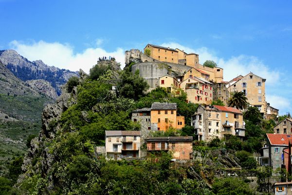 Crédit d’impôt pour investissements en Corse : pour les hangars agricoles ?