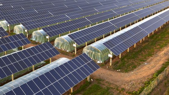 Vente d’entreprise agricole : toujours exonérée d’impôt ?