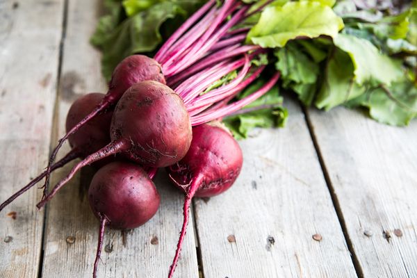 Filière betterave : avec ou sans pesticide ?