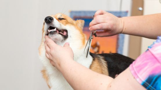 Loi « Indépendants » : 2 (petites) mesures à connaître