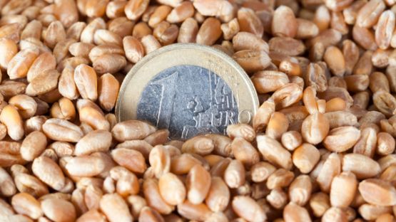 Agriculteurs : quel est le montant des aides couplées végétales ?