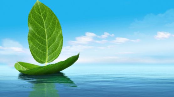 Vers un secteur maritime plus vert ?