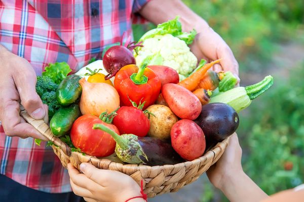 Agriculteurs et vente directe : avec ou sans TVA