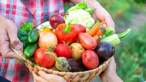 Agriculteurs et vente directe : avec ou sans TVA