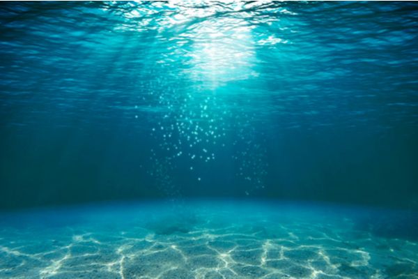 Pollution sonore sous-marine : comment la réduire ?