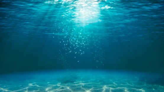 Pollution sonore sous-marine : comment la réduire ?