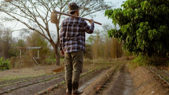 Congé pour reprise d’un bail rural : une procédure trop stricte ?
