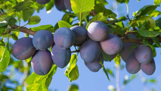 Problème d’assurance : il faut agir vite !