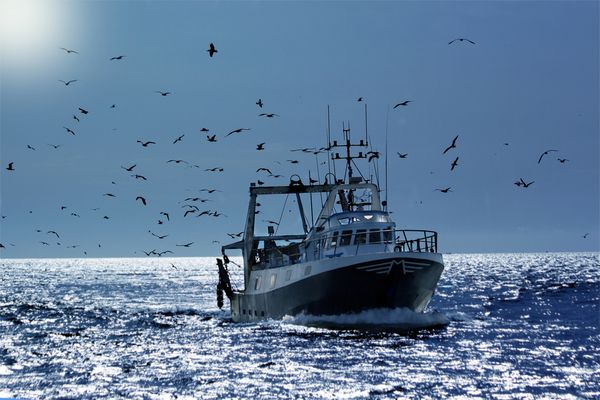 Flotte de pêche : du nouveau concernant l’obtention du permis de mise en exploitation