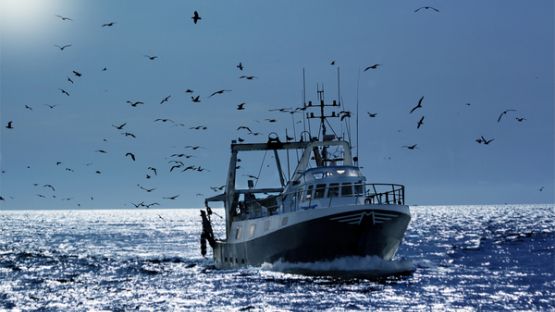 Flotte de pêche : du nouveau concernant l’obtention du permis de mise en exploitation