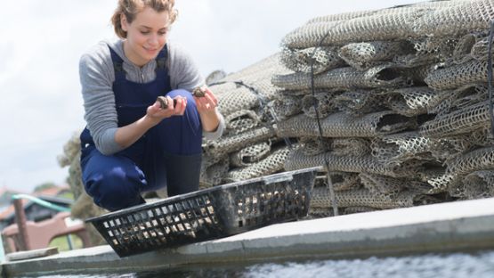 Plan Aquacole : que prévoit-il ?