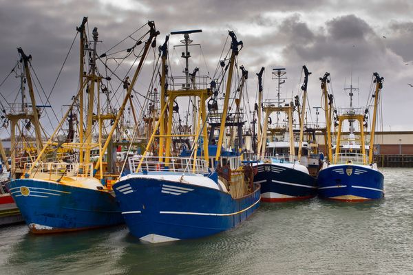 Secteur de la pêche : bénéficier d’une aide financière avant qu’il ne soit trop tard !