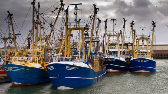Secteur de la pêche : bénéficier d’une aide financière avant qu’il ne soit trop tard !