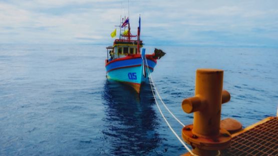 Plan de résilience : une FAQ pour les pêcheurs